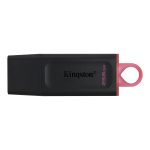 Kingston 256 GB USB 3.2 Flash Drive