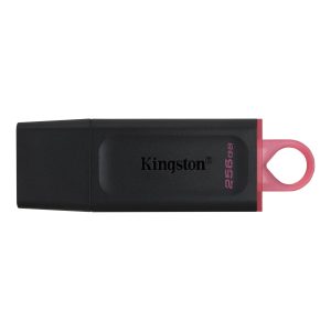 Kingston 256 GB USB 3.2 Flash Drive