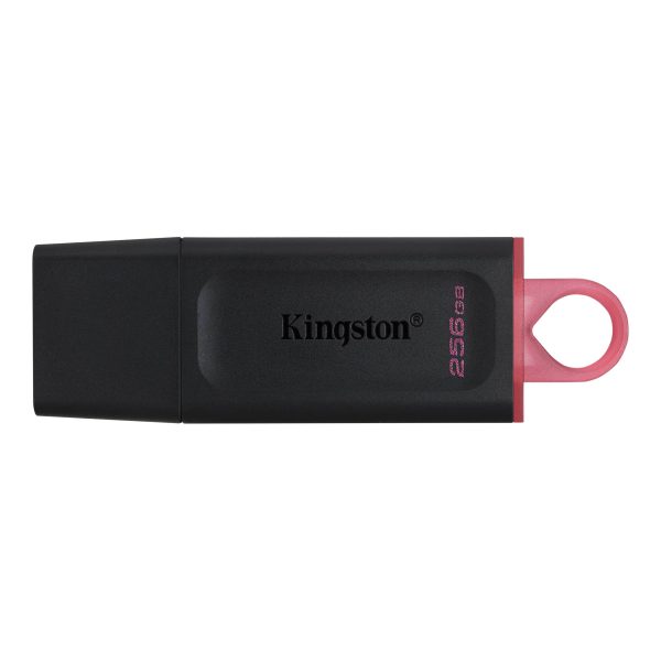Kingston 256 GB USB 3.2 Flash Drive
