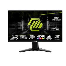 mag 255xf 300 HZ Monitor
